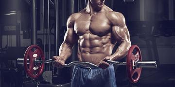 The Do’s and Don’ts for Bigger Biceps